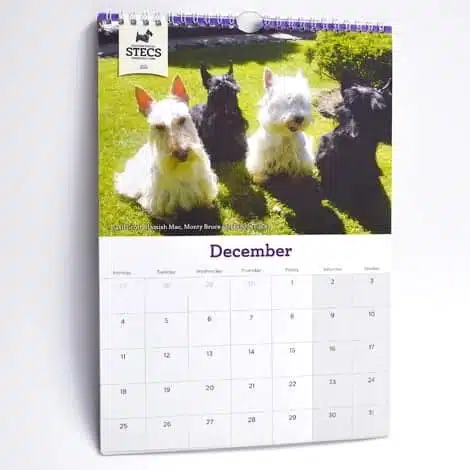 Wall Calendar Printing