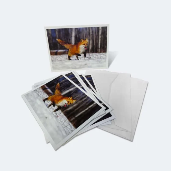 Landscape A6 Cards and Envelopes
