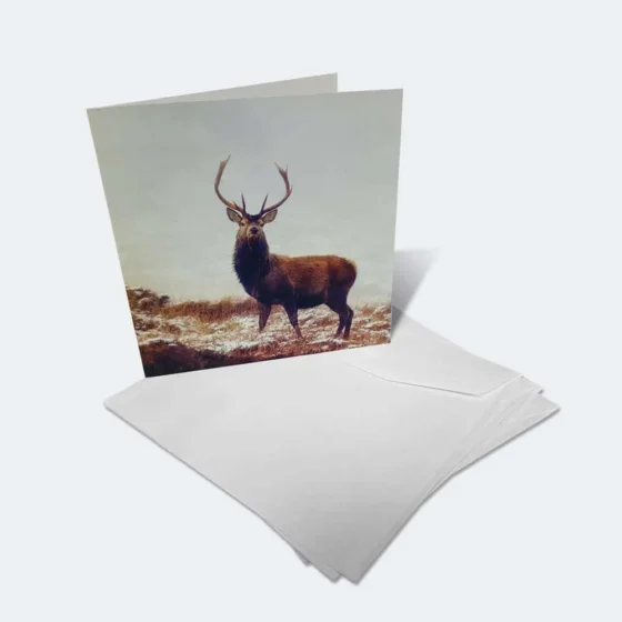 Square Card with envelopes