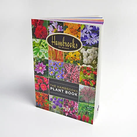 perfect bound brochure