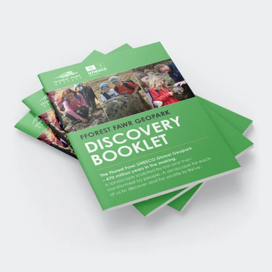 Budget saddle-stitch Booklets