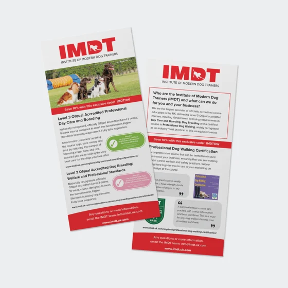 DL Flyer Printing