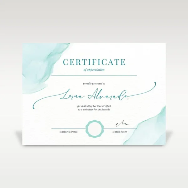 Council and Local Government 13 Government certificate