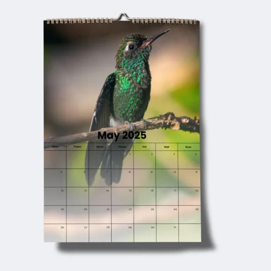 Wall Calendar Printing Example - Bird image with May 2025 Dates