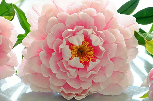 peony flower from clay