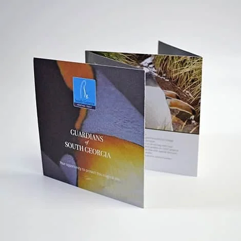 Quad fold Brochure Square