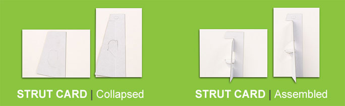 Show card rudders, back of strut card
